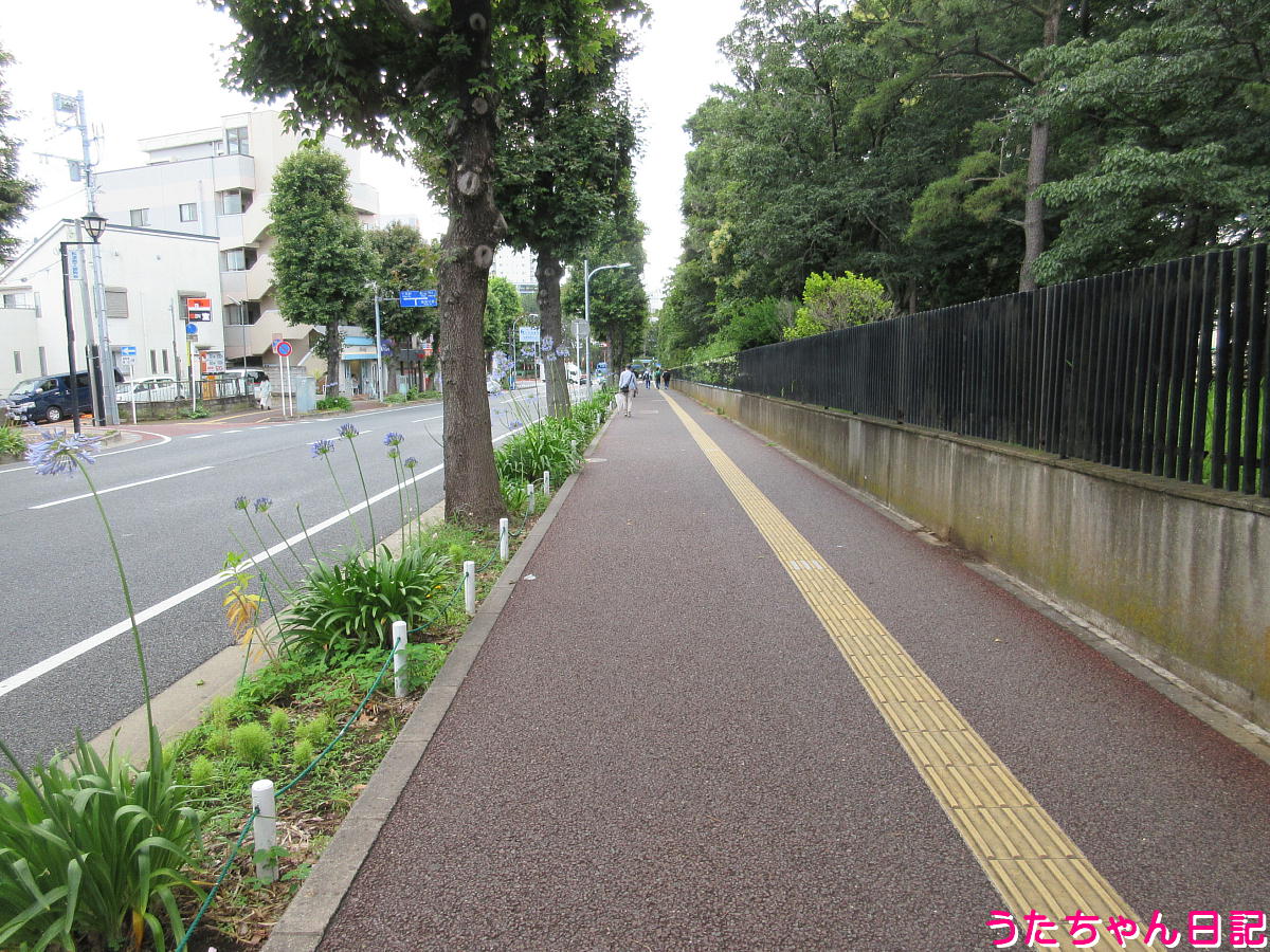 f:id:utachan0831:20211009204326j:plain