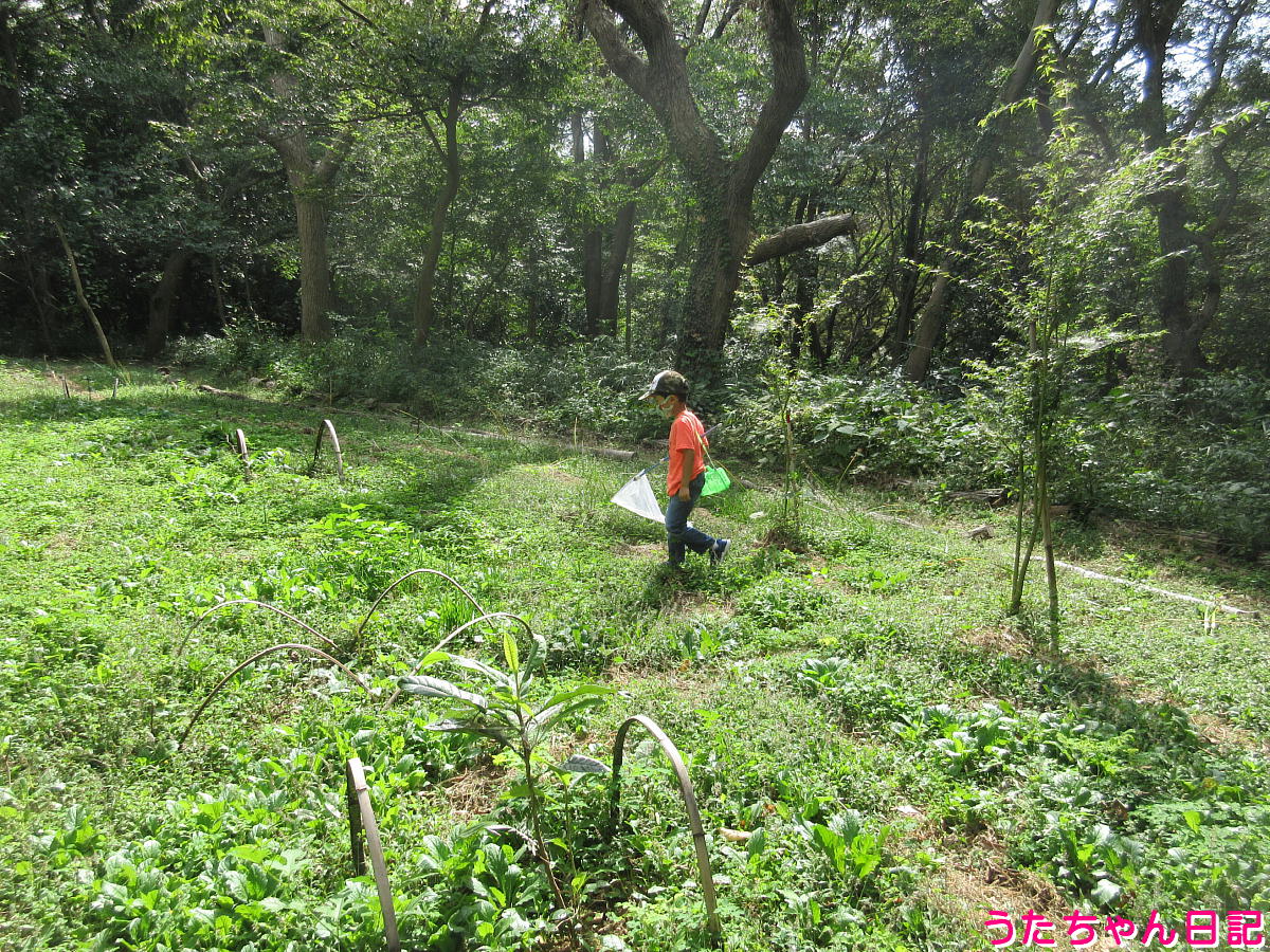 f:id:utachan0831:20211014233902j:plain