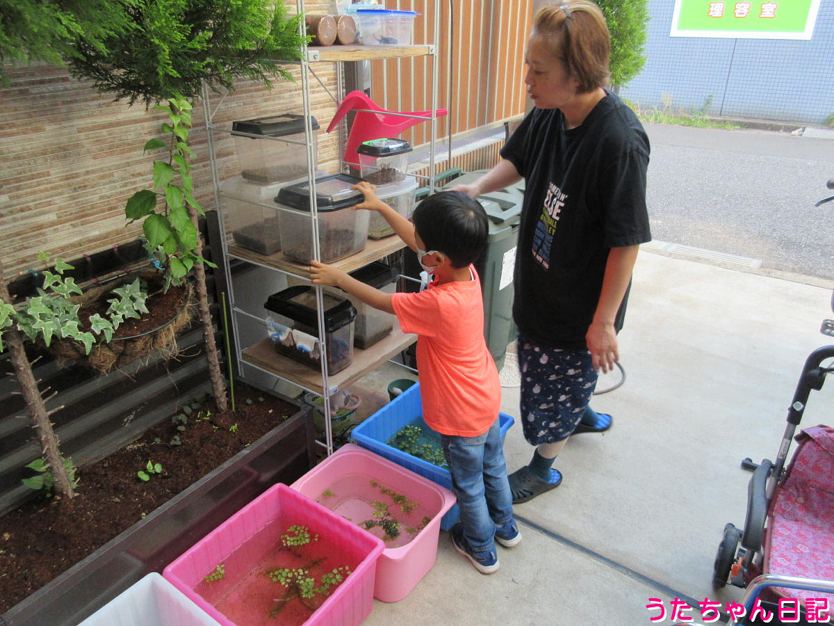 f:id:utachan0831:20211014234409j:plain