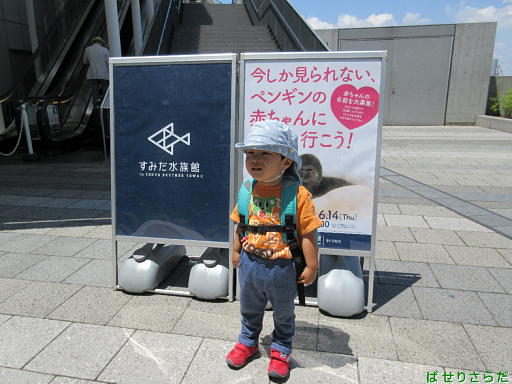 f:id:utachan0831:20211016211105j:plain