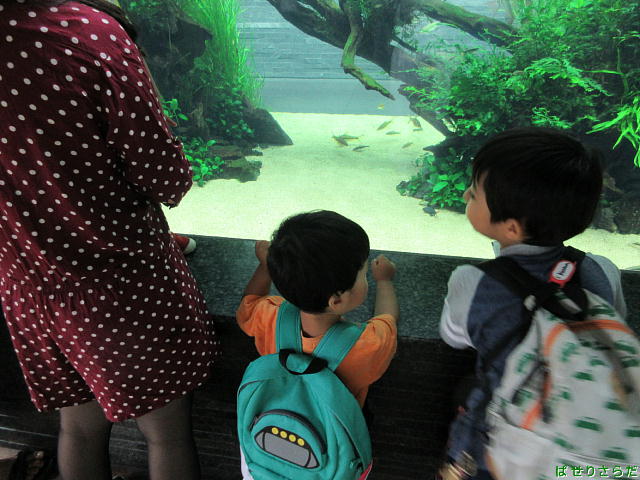 f:id:utachan0831:20211016211120j:plain