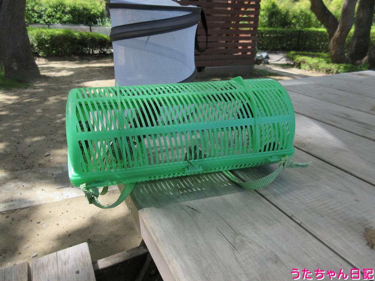 f:id:utachan0831:20211022222151j:plain