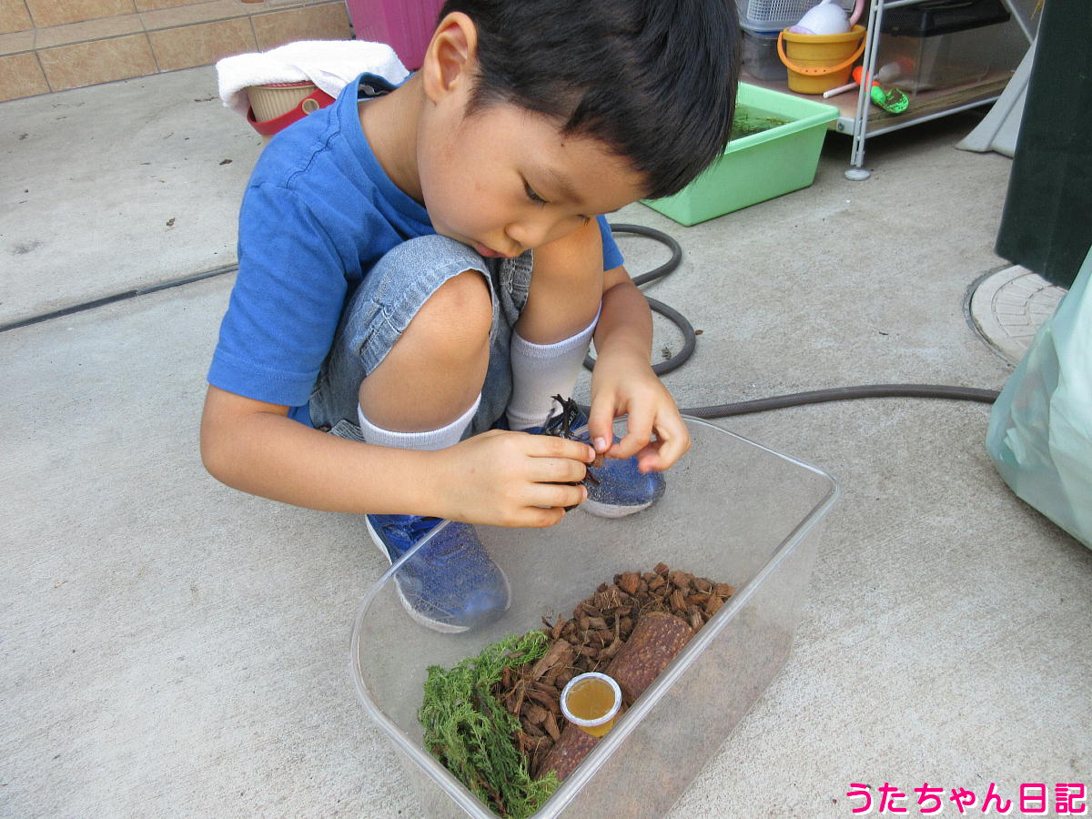 f:id:utachan0831:20211024230557j:plain