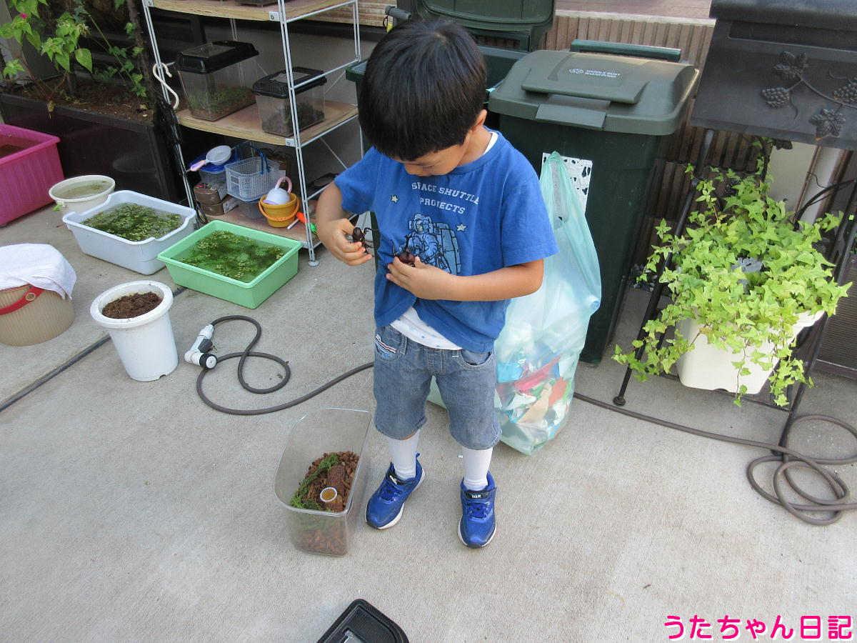 f:id:utachan0831:20211024230605j:plain