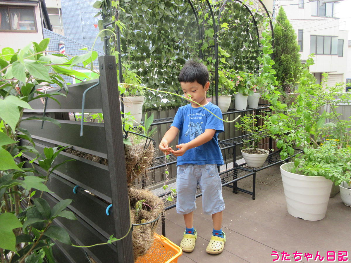 f:id:utachan0831:20211024232745j:plain