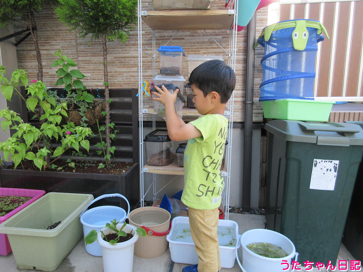 f:id:utachan0831:20211024232817j:plain