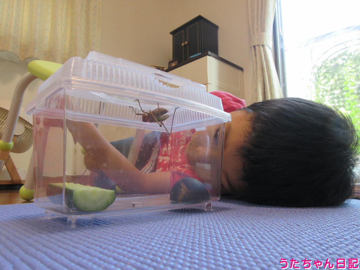 f:id:utachan0831:20211026221138j:plain