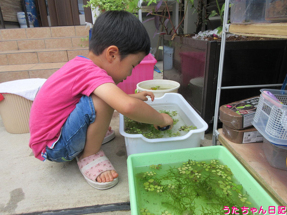 f:id:utachan0831:20211026221148j:plain