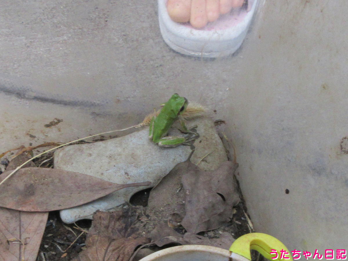 f:id:utachan0831:20211026221205j:plain