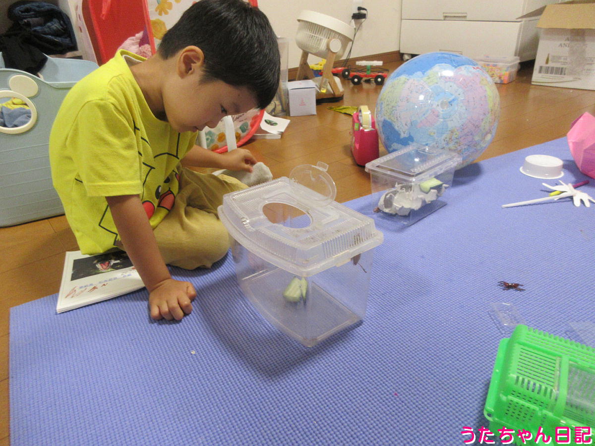 f:id:utachan0831:20211028150305j:plain