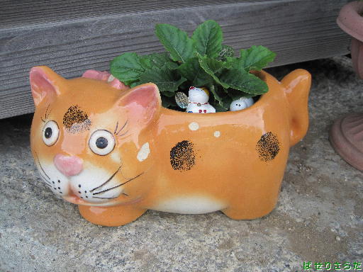 f:id:utachan0831:20211029000147j:plain