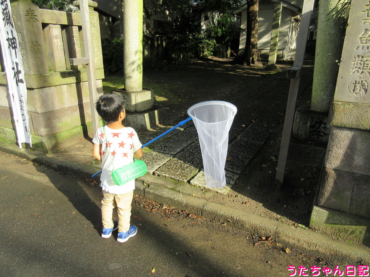 f:id:utachan0831:20211101232859j:plain