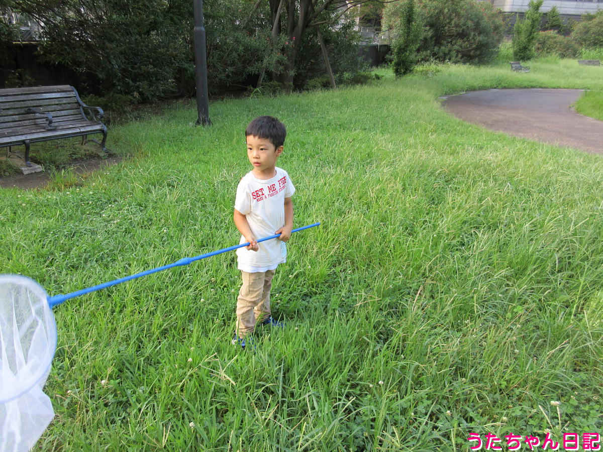 f:id:utachan0831:20211101232907j:plain