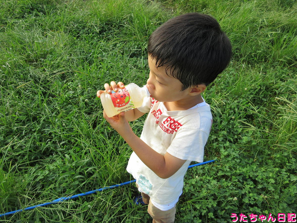 f:id:utachan0831:20211101232916j:plain