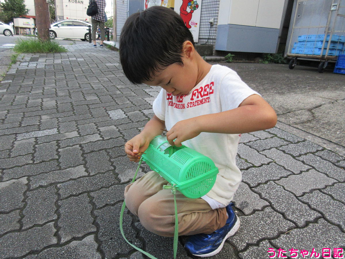 f:id:utachan0831:20211101232924j:plain