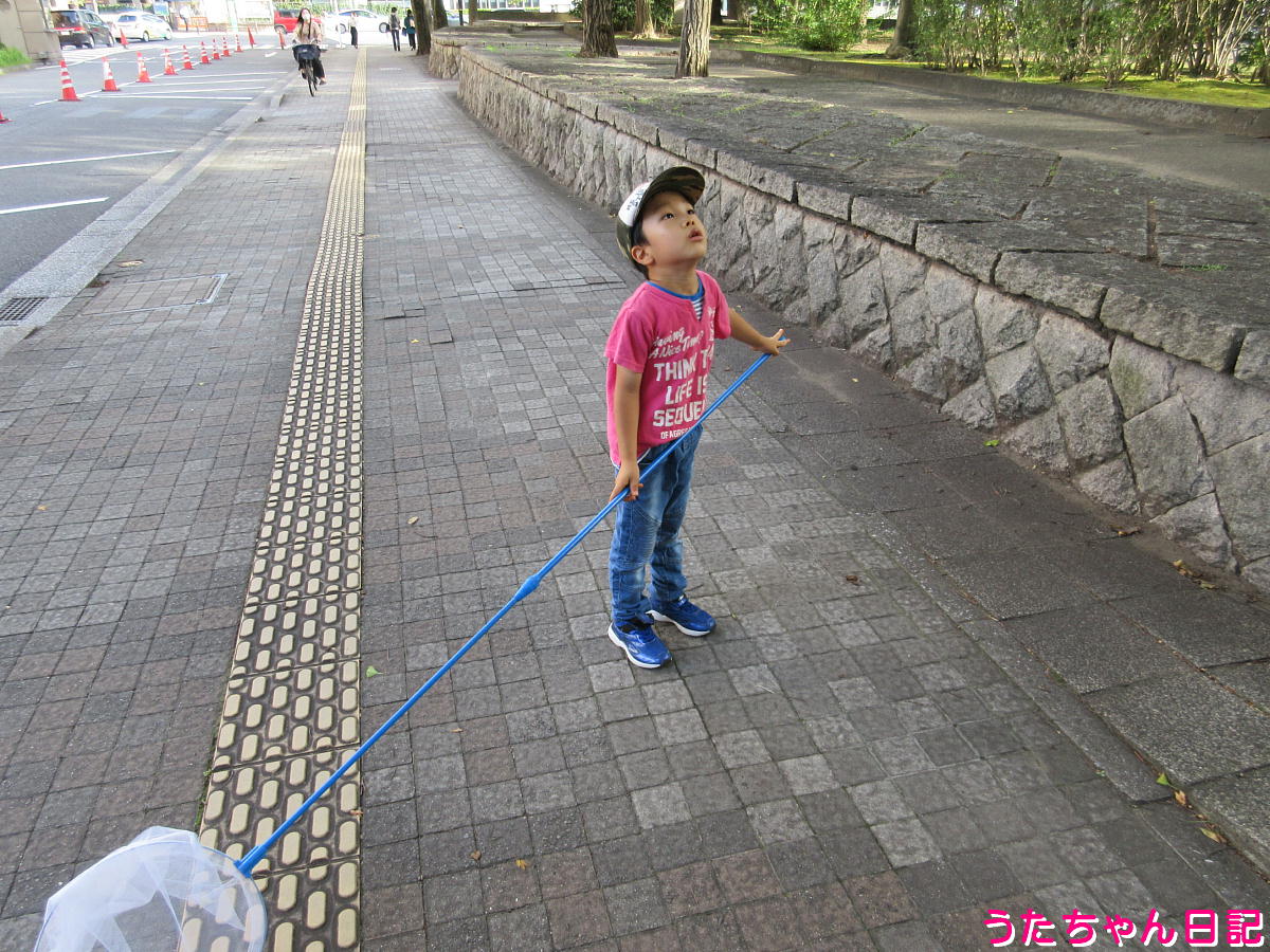 f:id:utachan0831:20211102222810j:plain