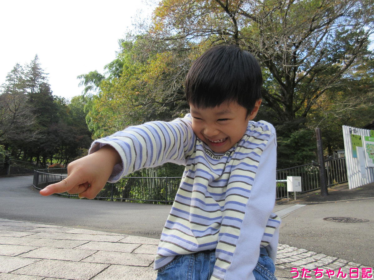 f:id:utachan0831:20211107233319j:plain