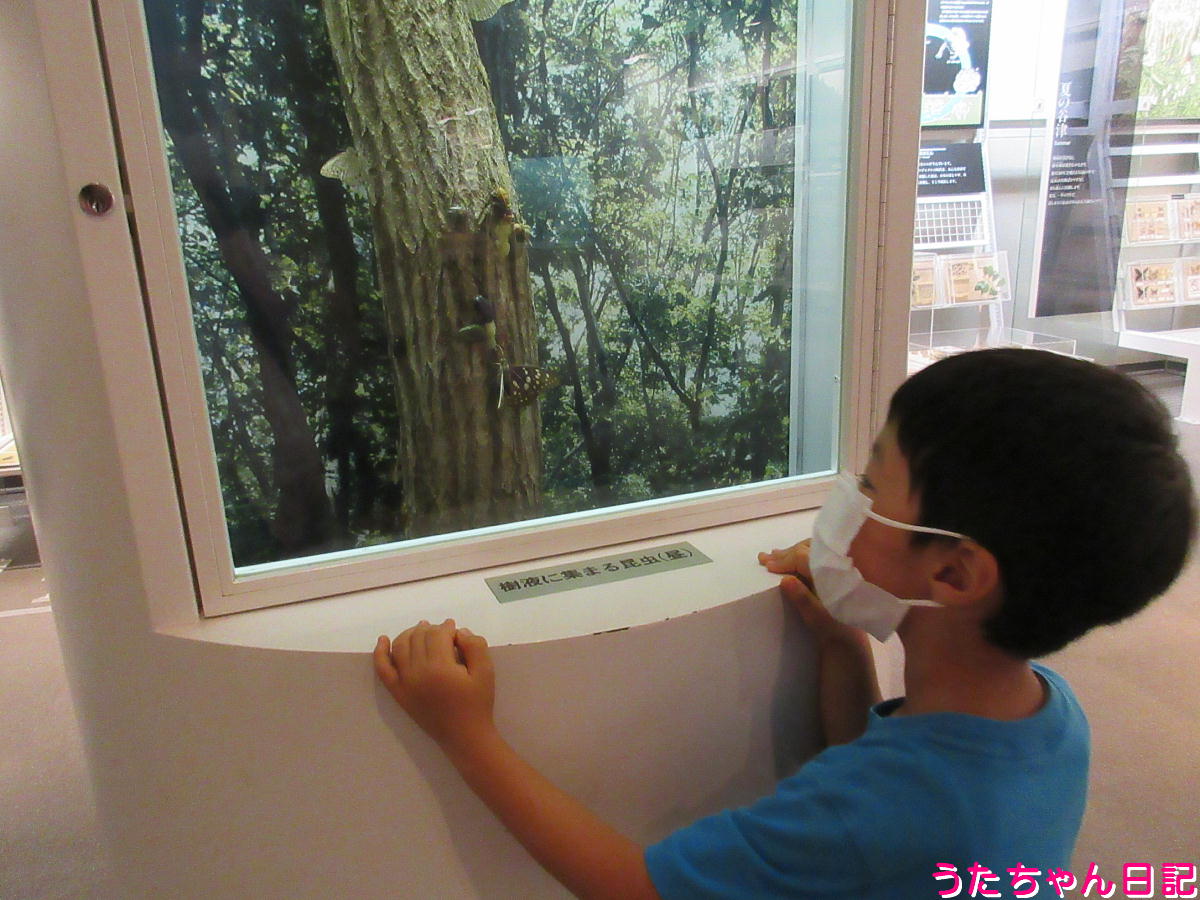 f:id:utachan0831:20211109225925j:plain