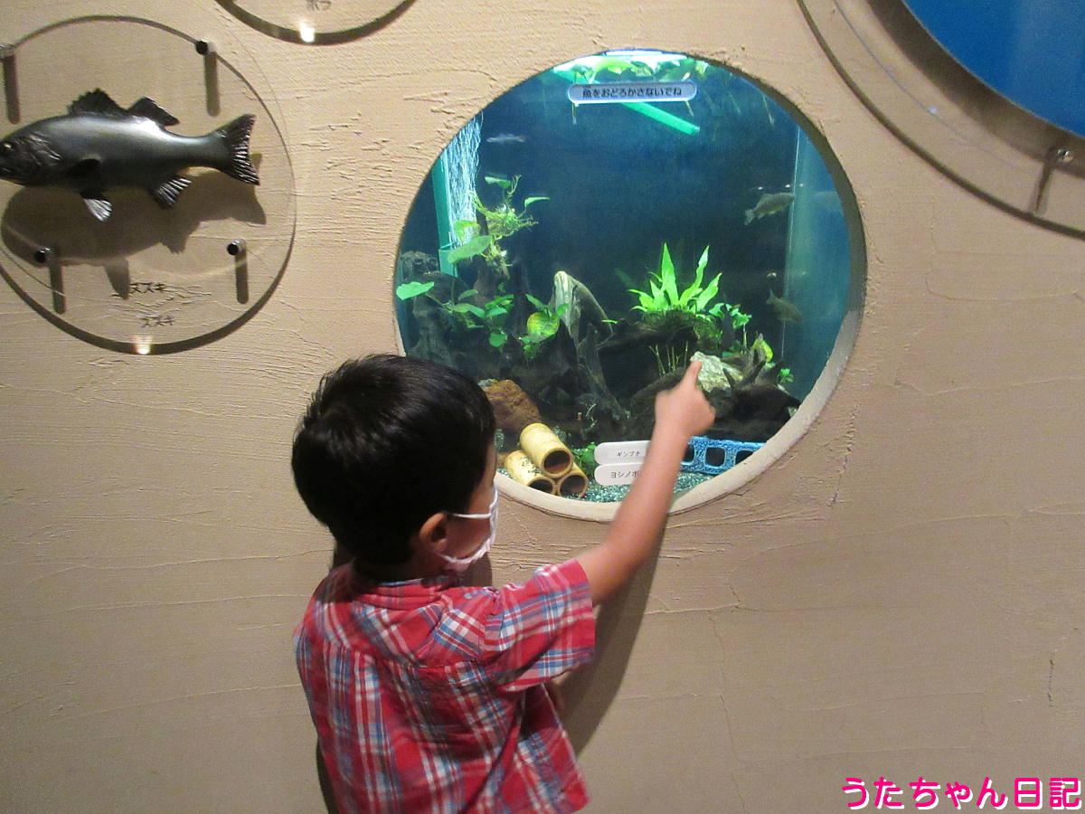 f:id:utachan0831:20211112132552j:plain