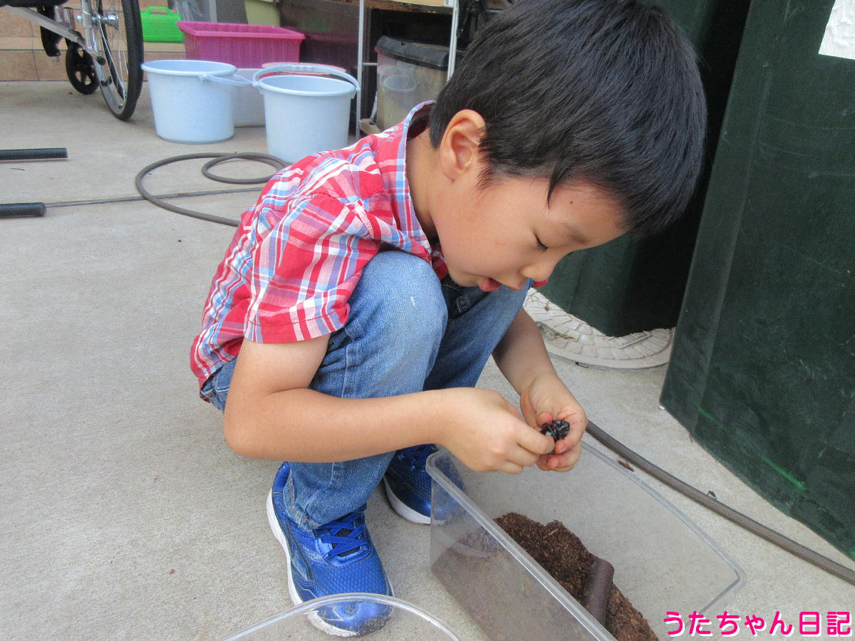 f:id:utachan0831:20211112132611j:plain