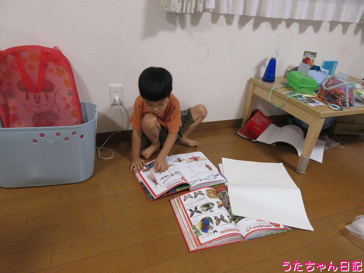 f:id:utachan0831:20211113224726j:plain