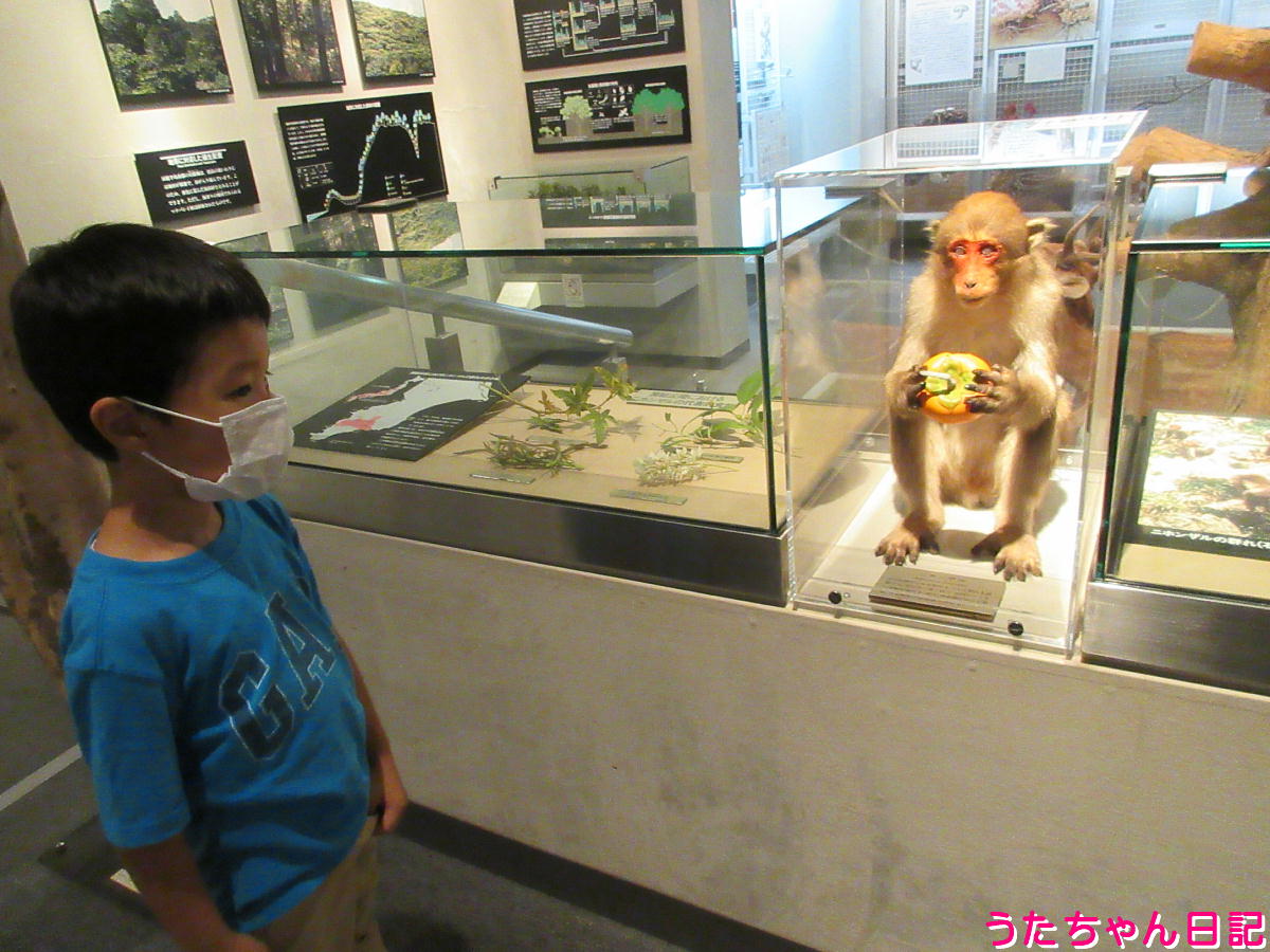 f:id:utachan0831:20211113231448j:plain