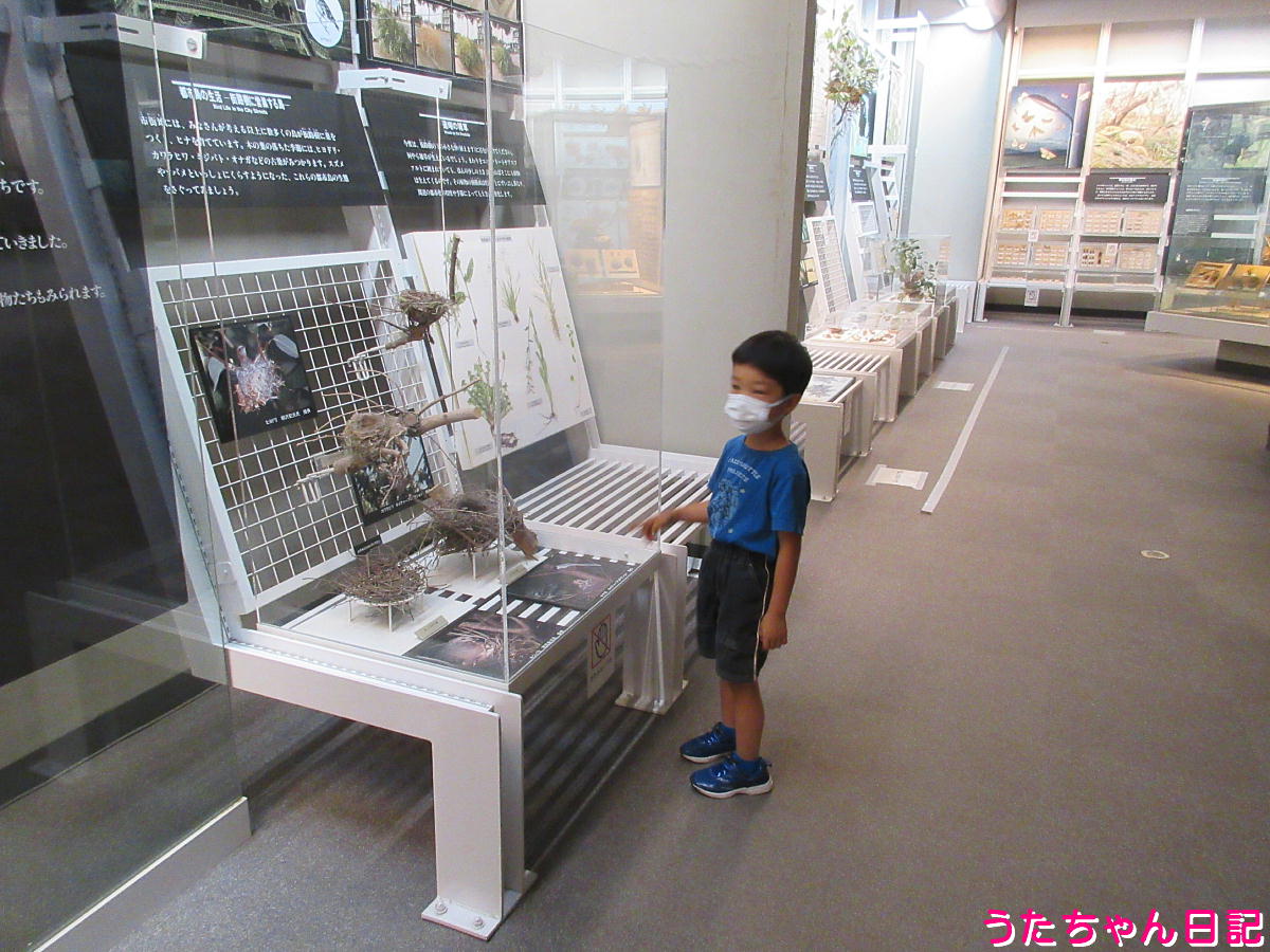 f:id:utachan0831:20211113231518j:plain