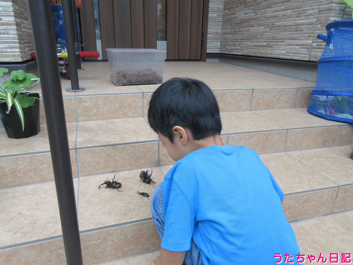 f:id:utachan0831:20211115223817j:plain