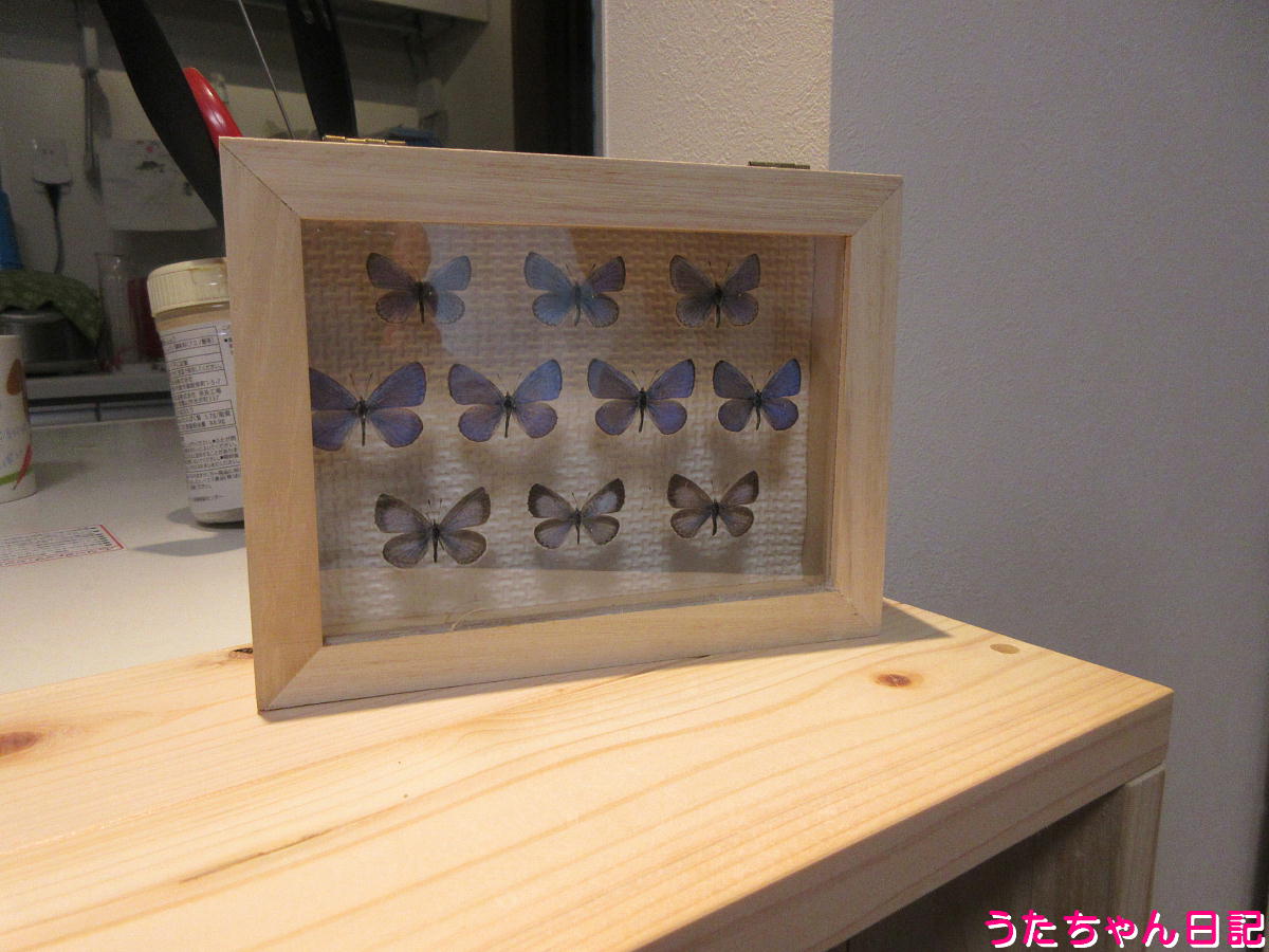 f:id:utachan0831:20211117225740j:plain