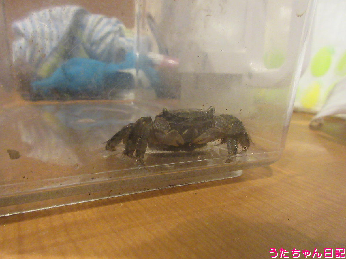 f:id:utachan0831:20211124111220j:plain