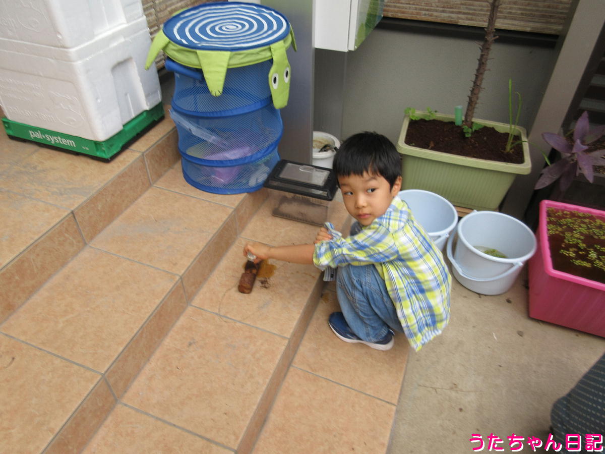 f:id:utachan0831:20211126034353j:plain