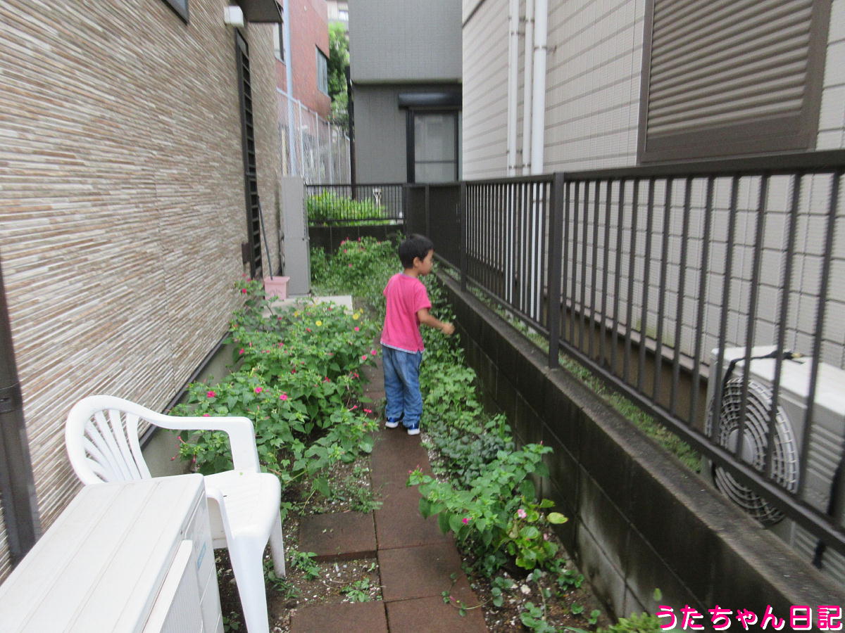 f:id:utachan0831:20211126034400j:plain