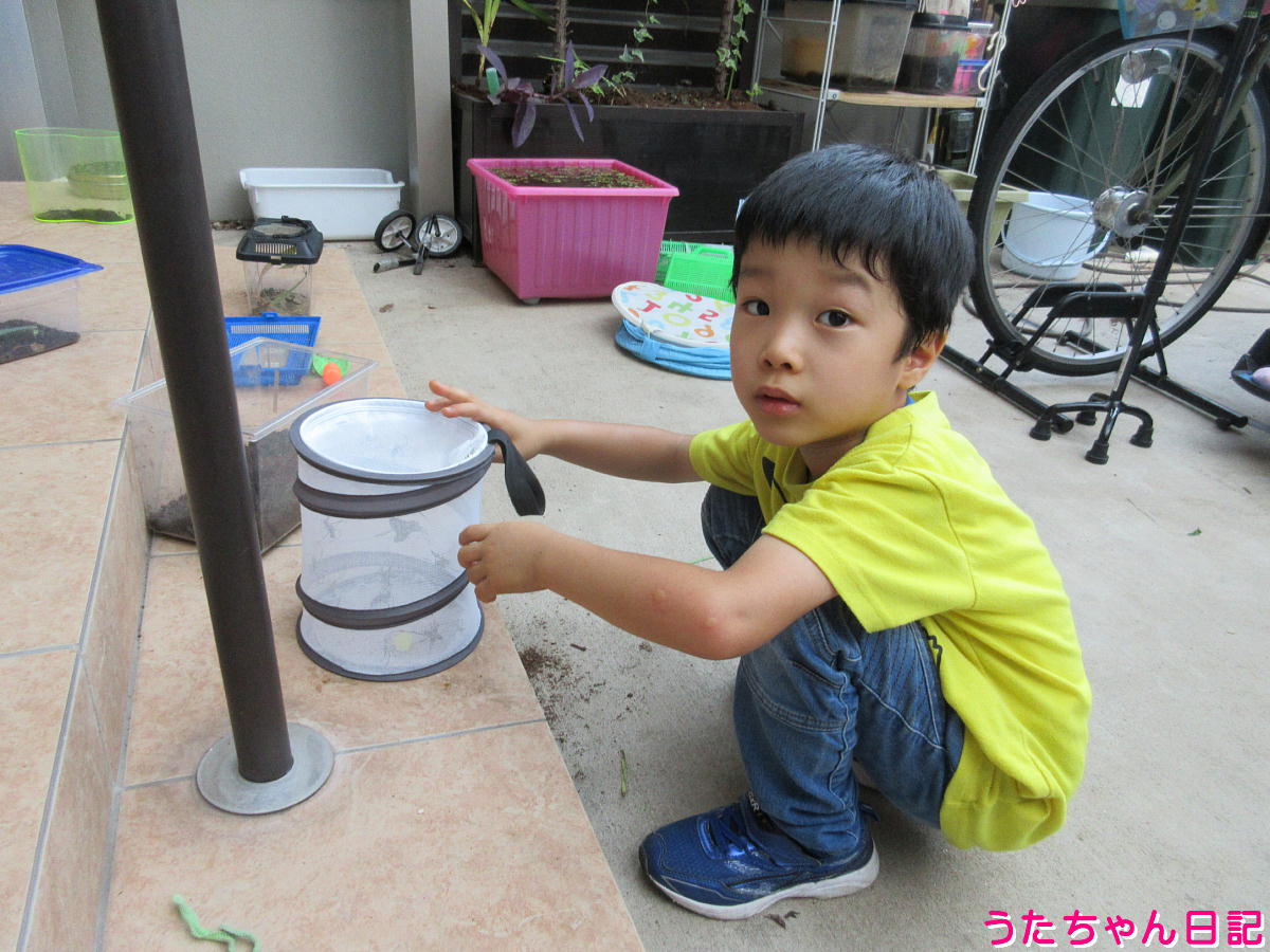 f:id:utachan0831:20211130104958j:plain