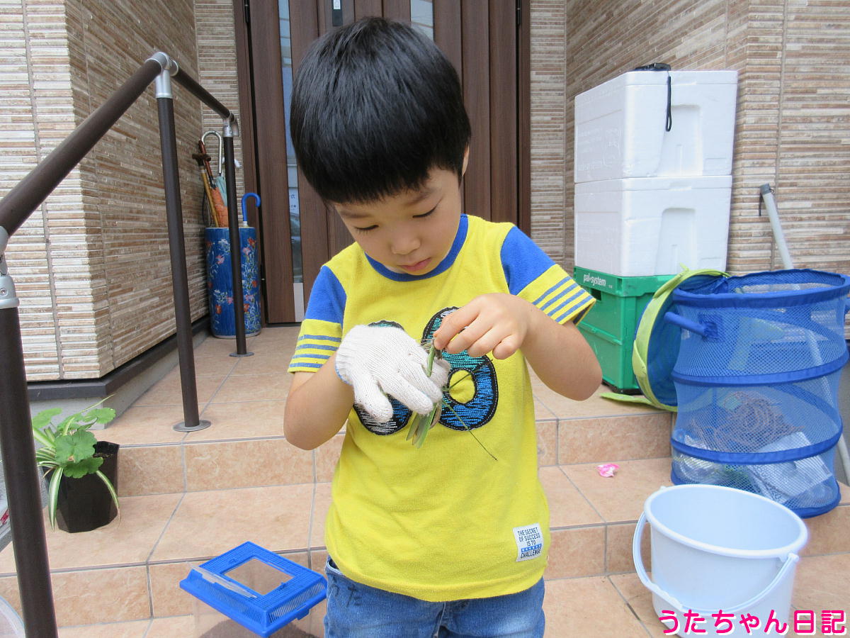 f:id:utachan0831:20211201235349j:plain