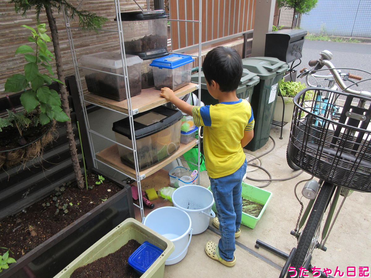 f:id:utachan0831:20211201235411j:plain