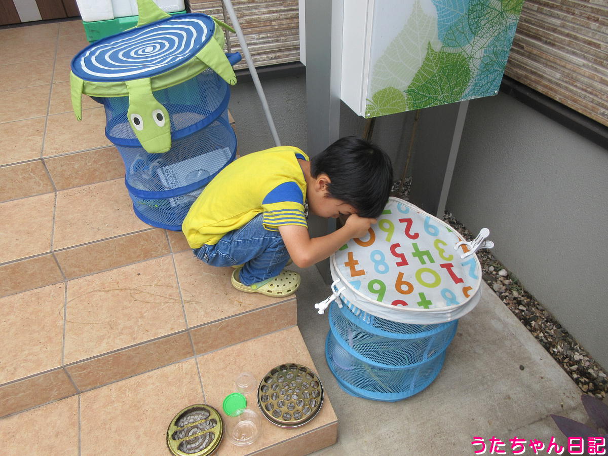 f:id:utachan0831:20211201235419j:plain