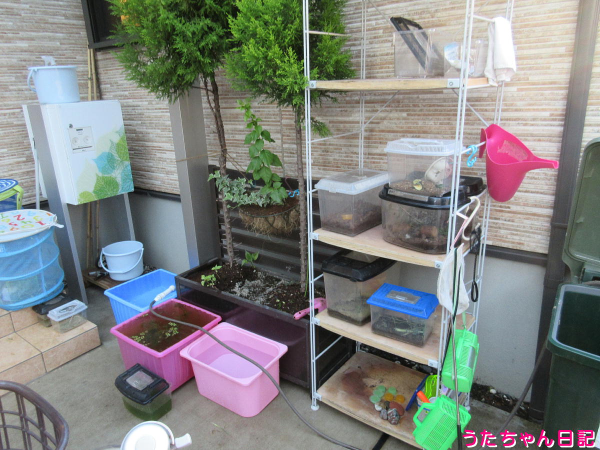 f:id:utachan0831:20211210002812j:plain