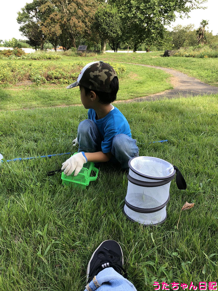 f:id:utachan0831:20211214093722j:plain