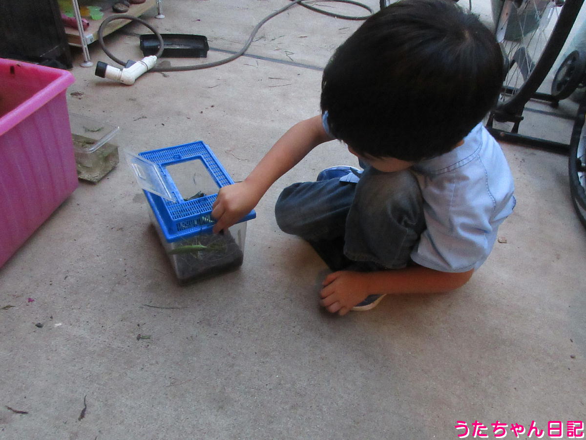 f:id:utachan0831:20211214093842j:plain