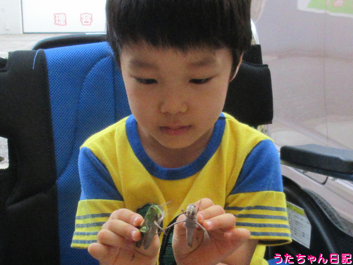 f:id:utachan0831:20211214093918j:plain