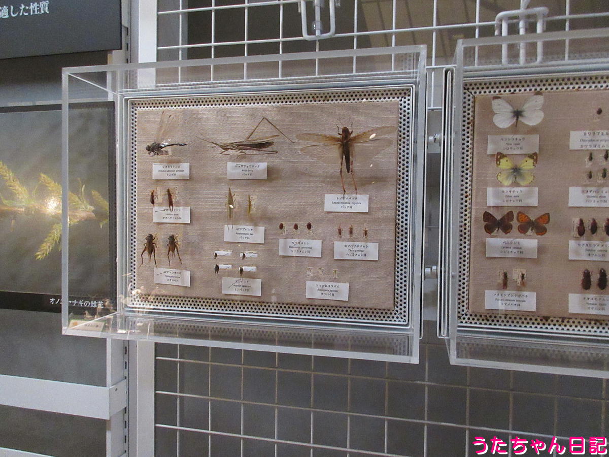 f:id:utachan0831:20211215151402j:plain