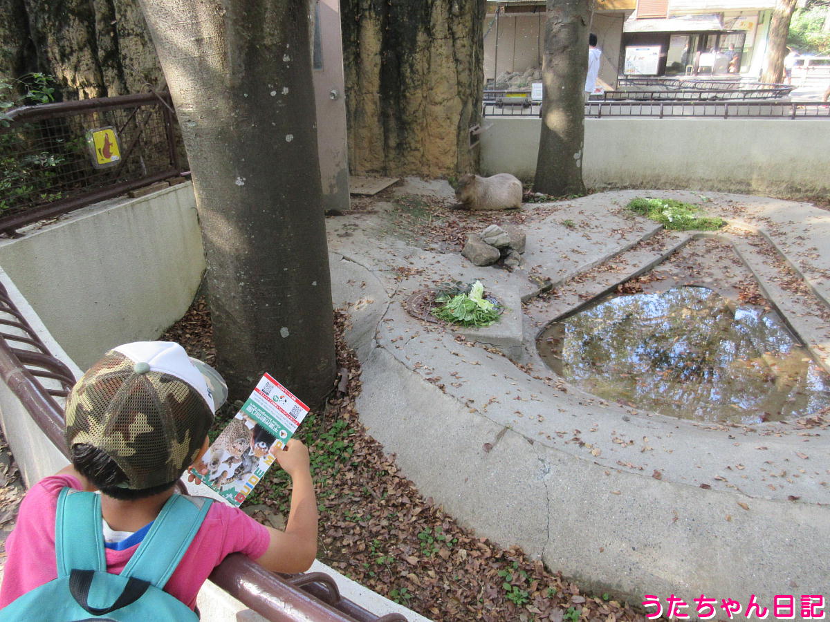 f:id:utachan0831:20211219011608j:plain