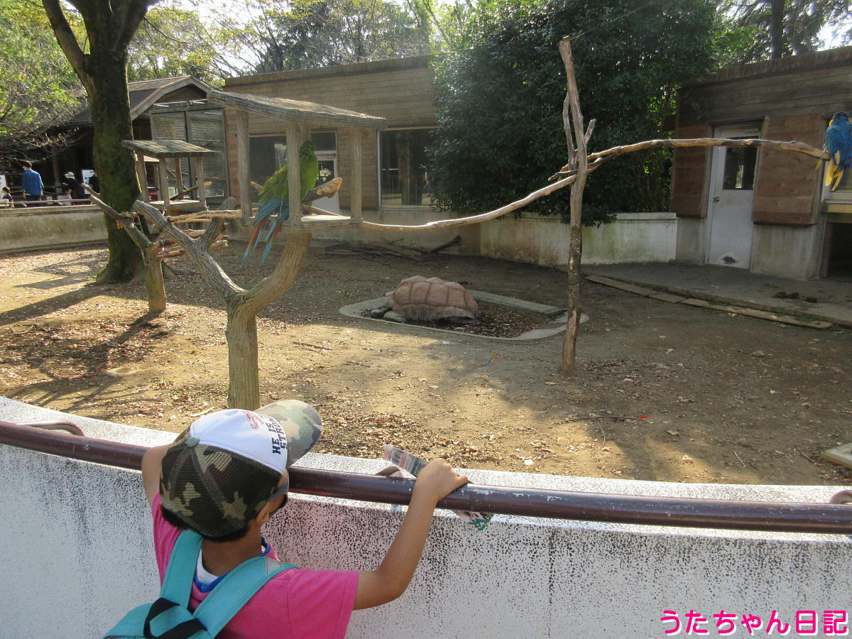 f:id:utachan0831:20211219011620j:plain