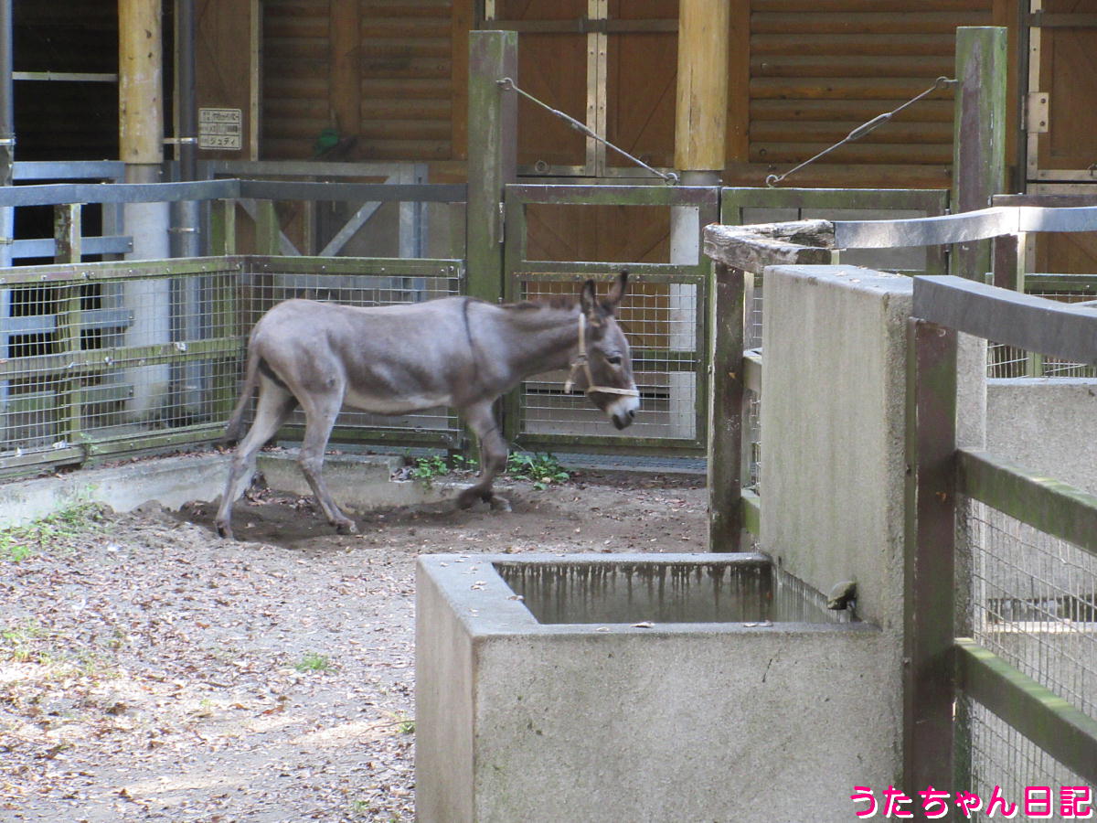 f:id:utachan0831:20211219011628j:plain