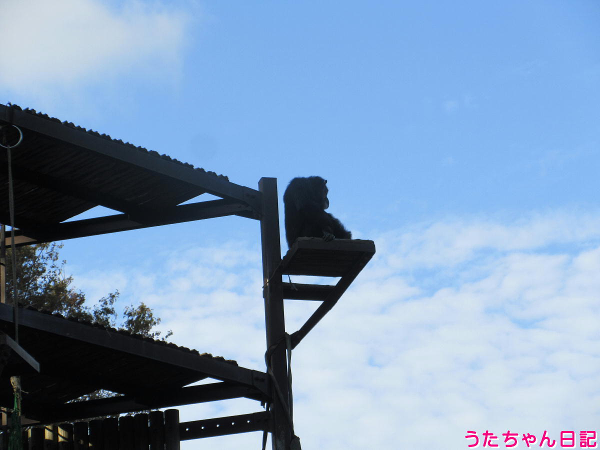 f:id:utachan0831:20211219011646j:plain