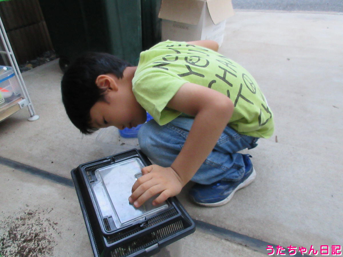 f:id:utachan0831:20211220145736j:plain