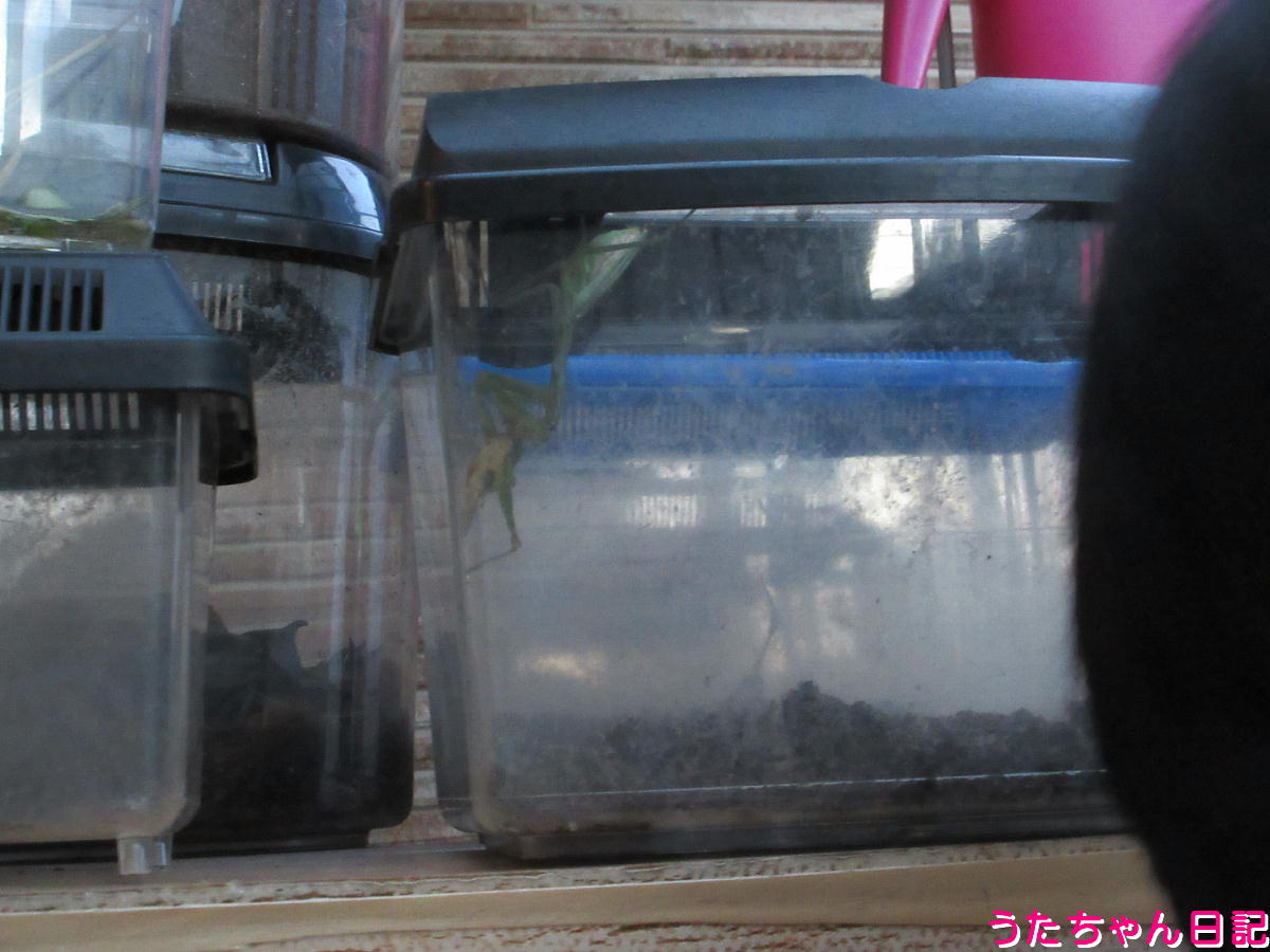 f:id:utachan0831:20211220145744j:plain