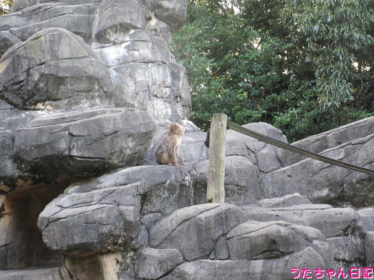 f:id:utachan0831:20211222040327j:plain