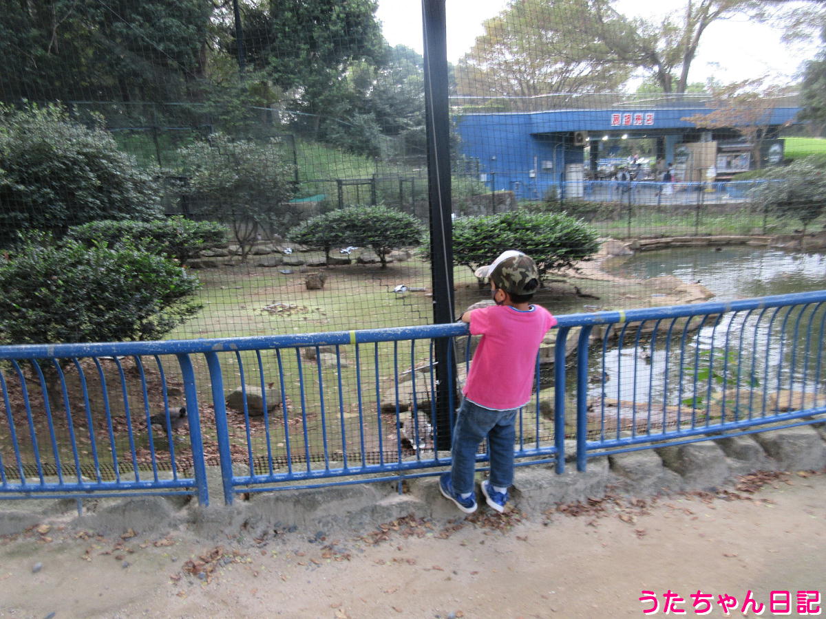 f:id:utachan0831:20211222040430j:plain