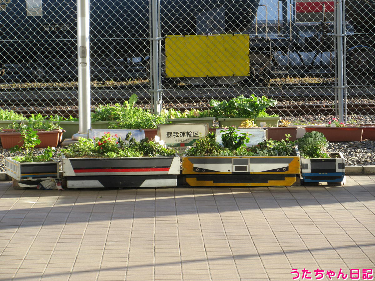 f:id:utachan0831:20211223224904j:plain